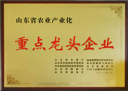 榮譽資質(zhì)